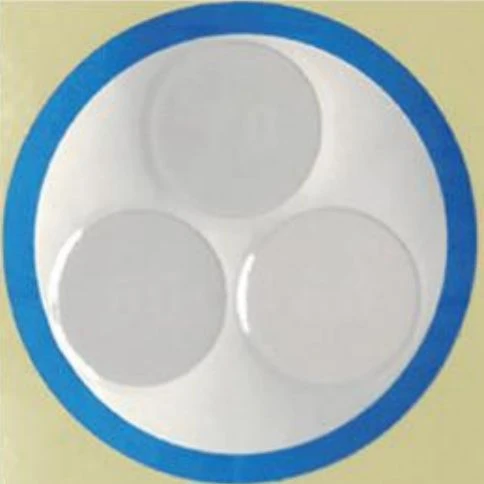 Busbar Temperature Indicator